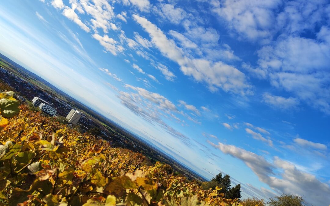 Bilder: Ausflug 2025