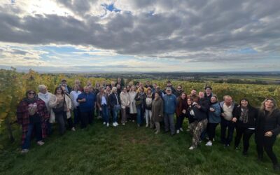 Mit dem Planwagen durch die Reben: Der WKV erlebt einen goldenen Oktobertag